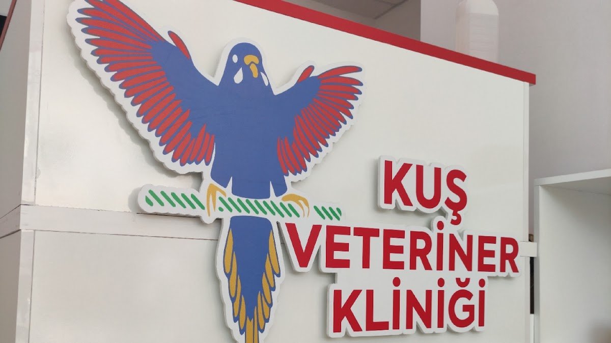 Kuş Veteriner Kliniği