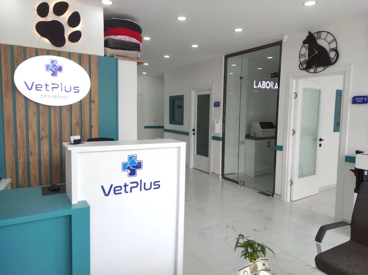 Çerkezköy VetPlus Veteriner Kliniği