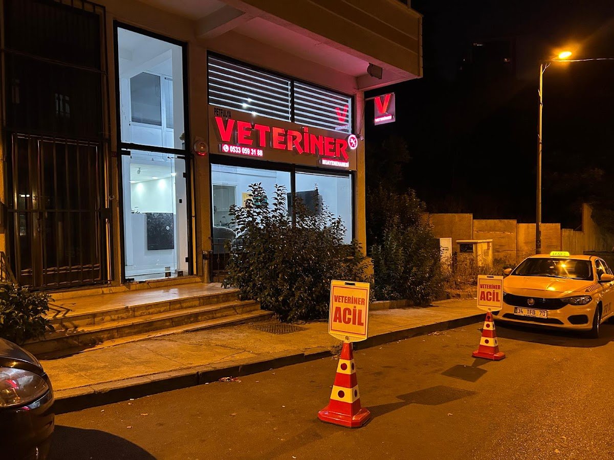 Şişli PetFulya Veteriner Kliniği - 7/24 Acil Veteriner