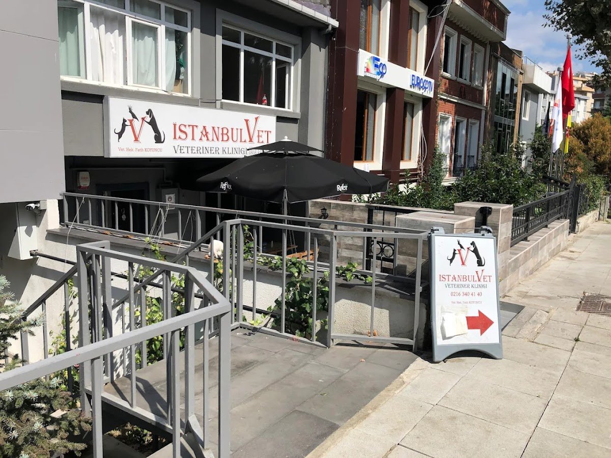 İstanbulVet Veteriner Kliniği