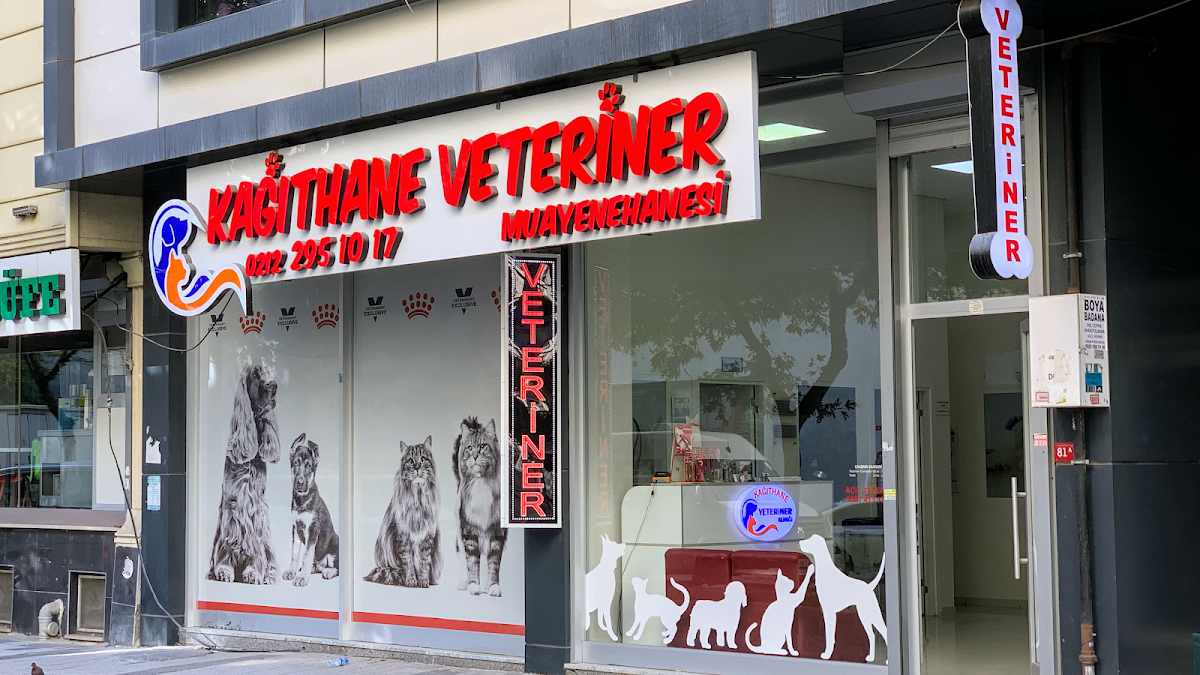 Kağıthane Veteriner Kliniği