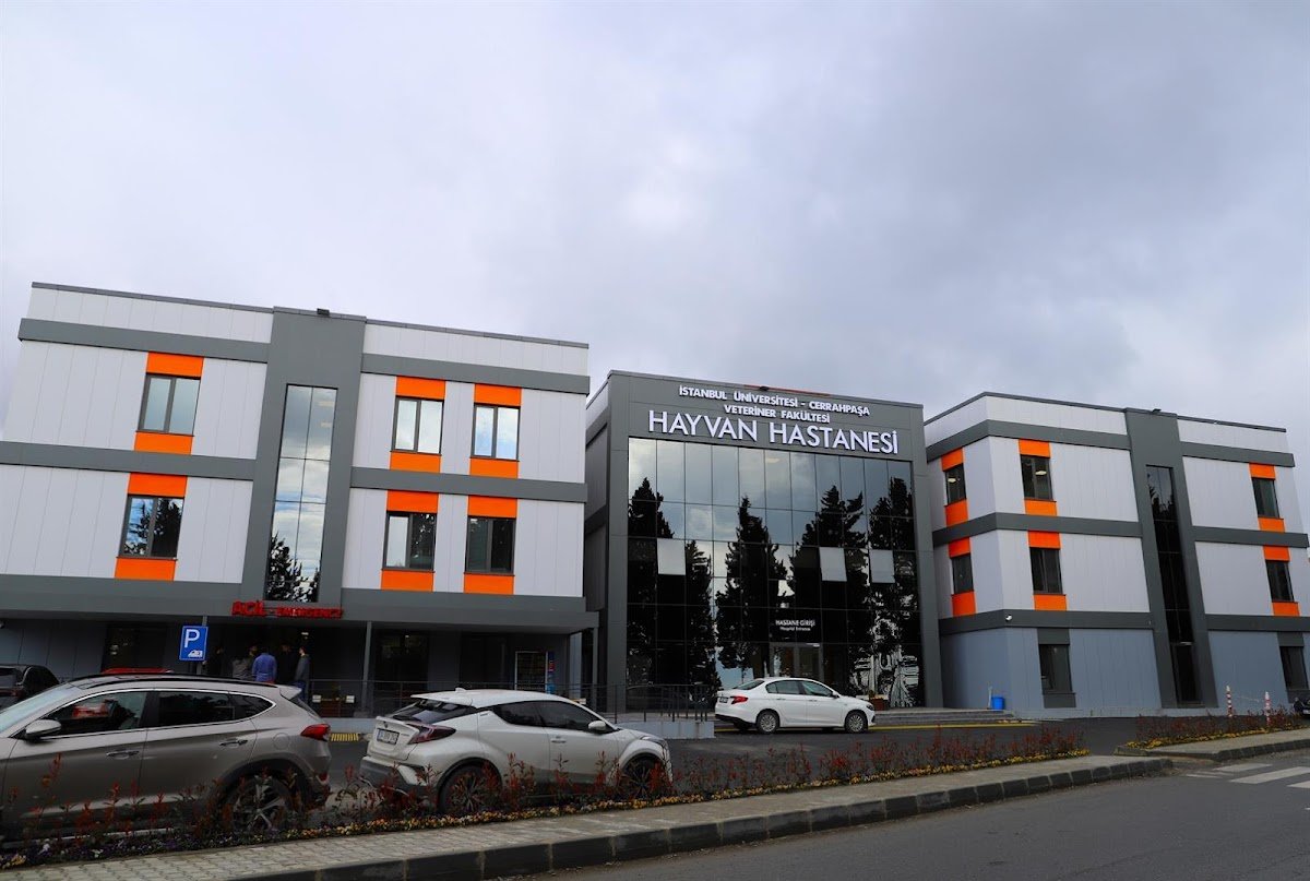 İstanbul Üniversitesi-Cerrahpaşa, Veteriner Fakültesi, Araştırma ve Uygulama Hayvan Hastanesi