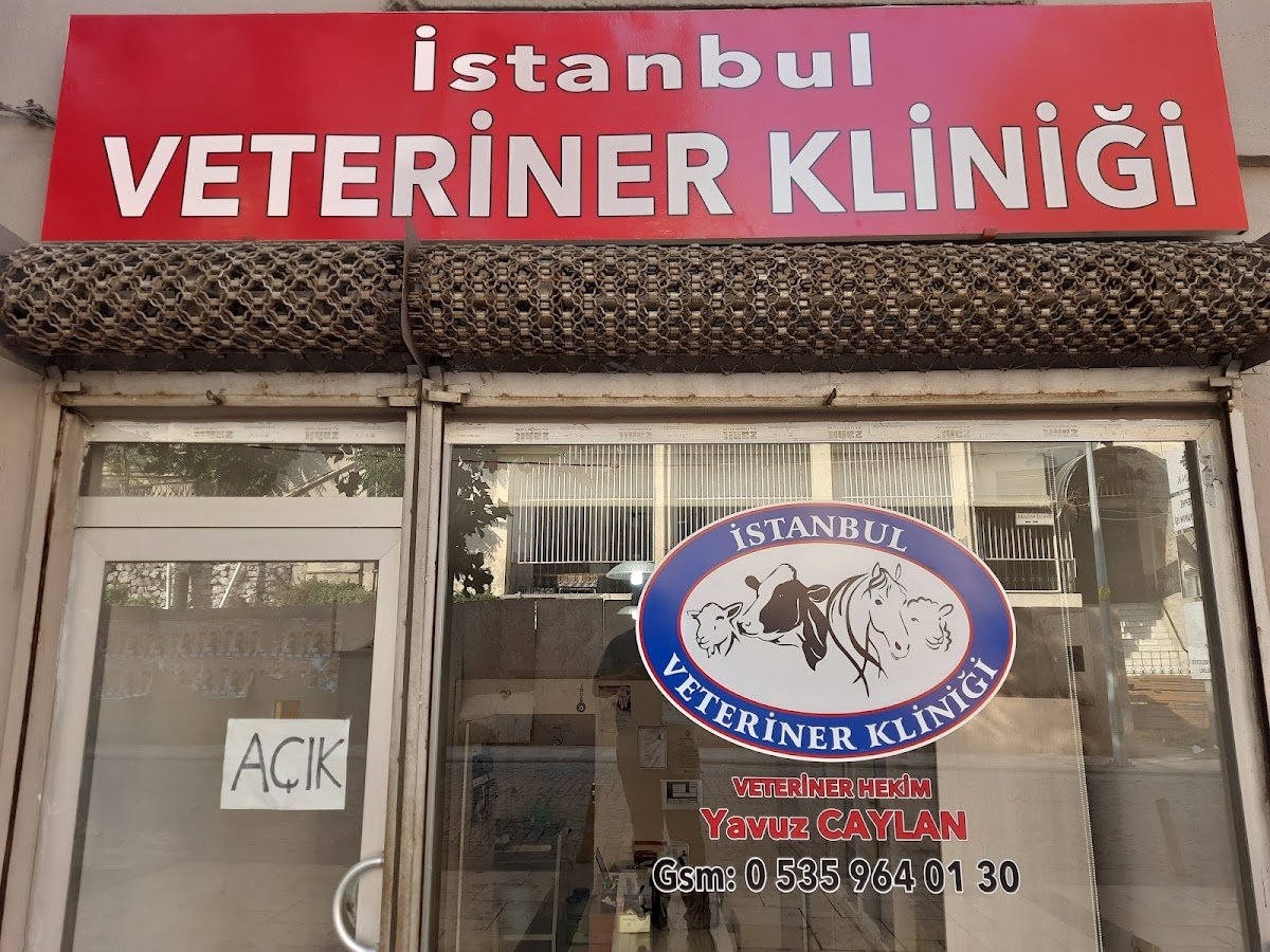 İstanbul Veteriner Kliniği