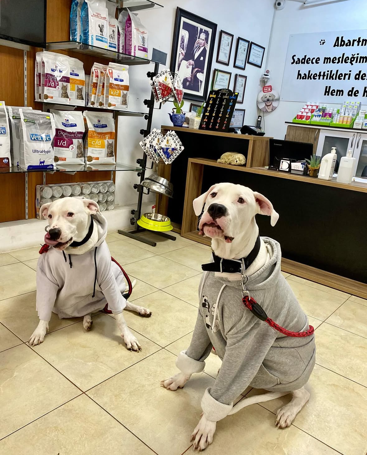 Karşıyaka Yaşam Veteriner Kliniği