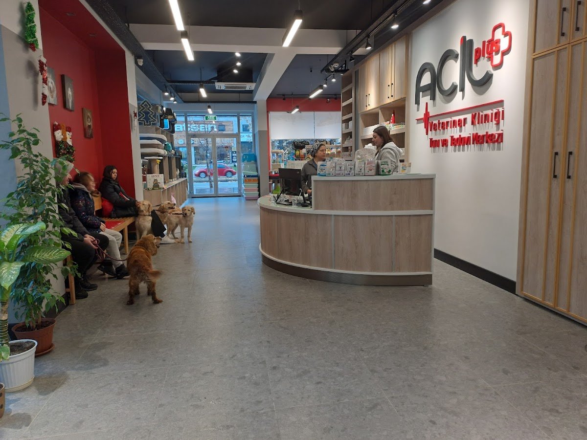 ACİL PLUS VETERİNER KLİNİĞİ