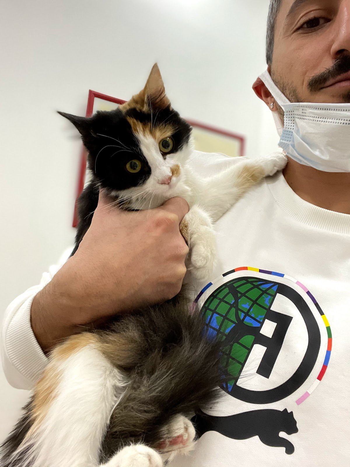 Pati Club Veteriner Kliniği