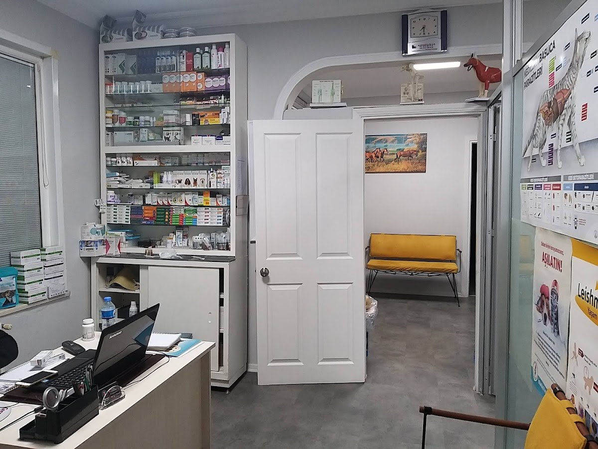 GÖZTEPE VETERİNER KLİNİĞİ