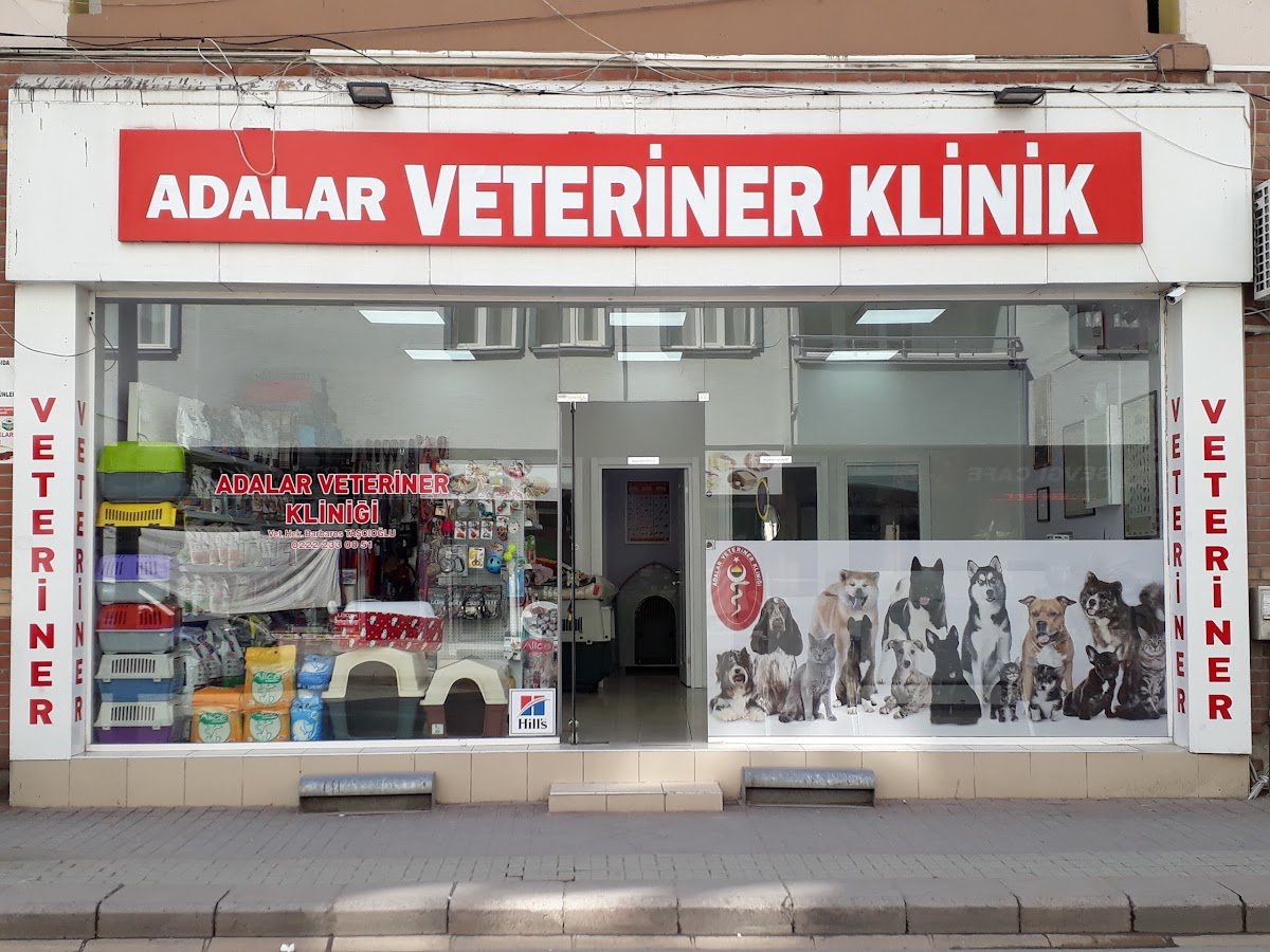 Adalar Veteriner Kliniği