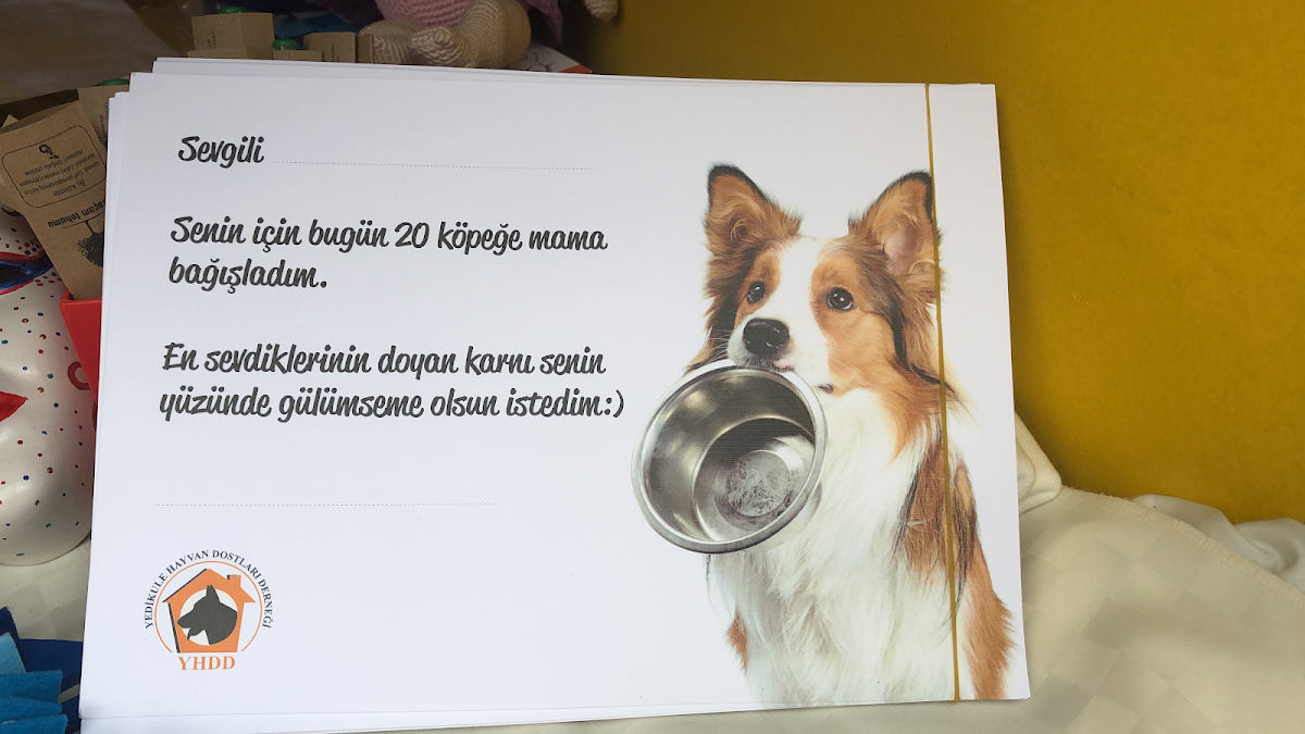 Yedikule Hayvan Barınağı ( Fatih Belediyesi sahipsiz sokak hayvanları bakım evi/tedavi merkezi