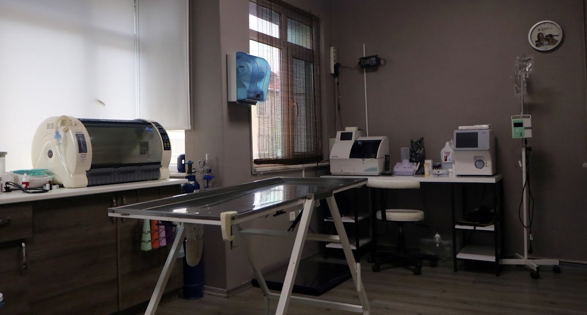 Beyoğlu Veteriner Kliniği (Özel)