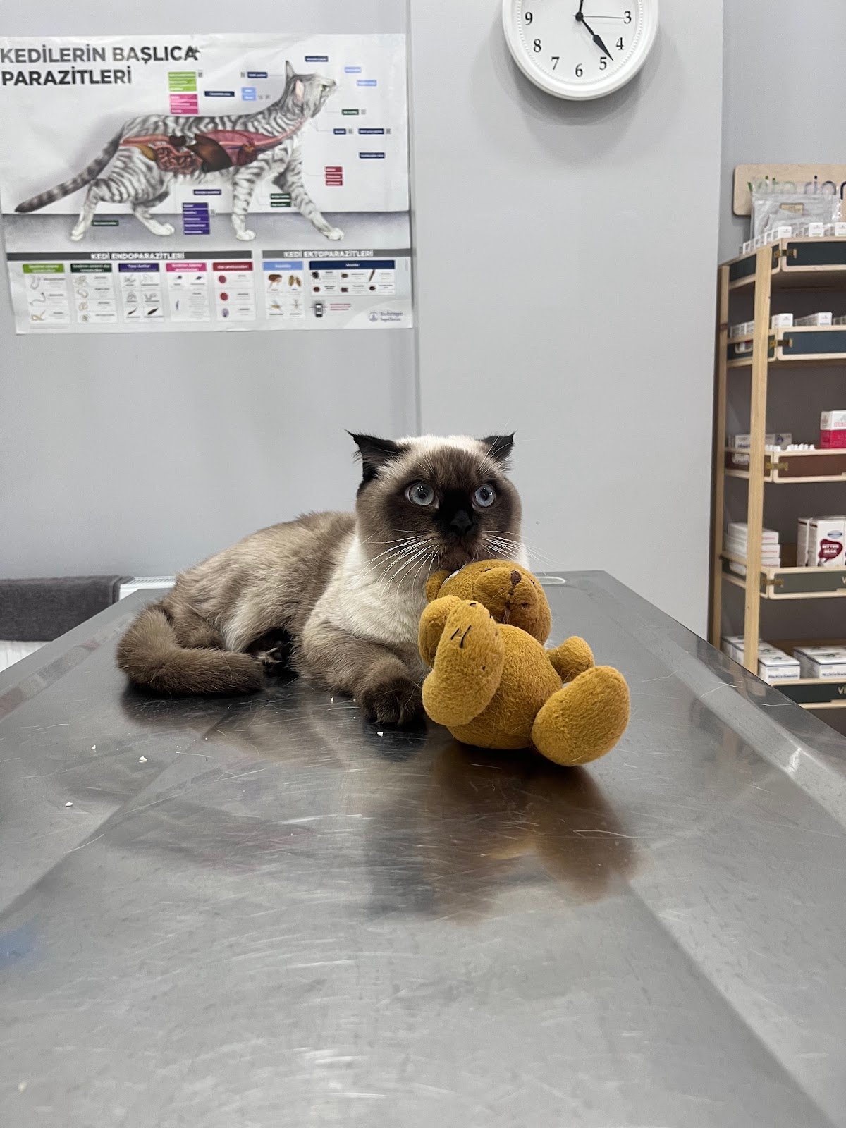 Smokin Pet ve Kuş Veteriner Kliniği