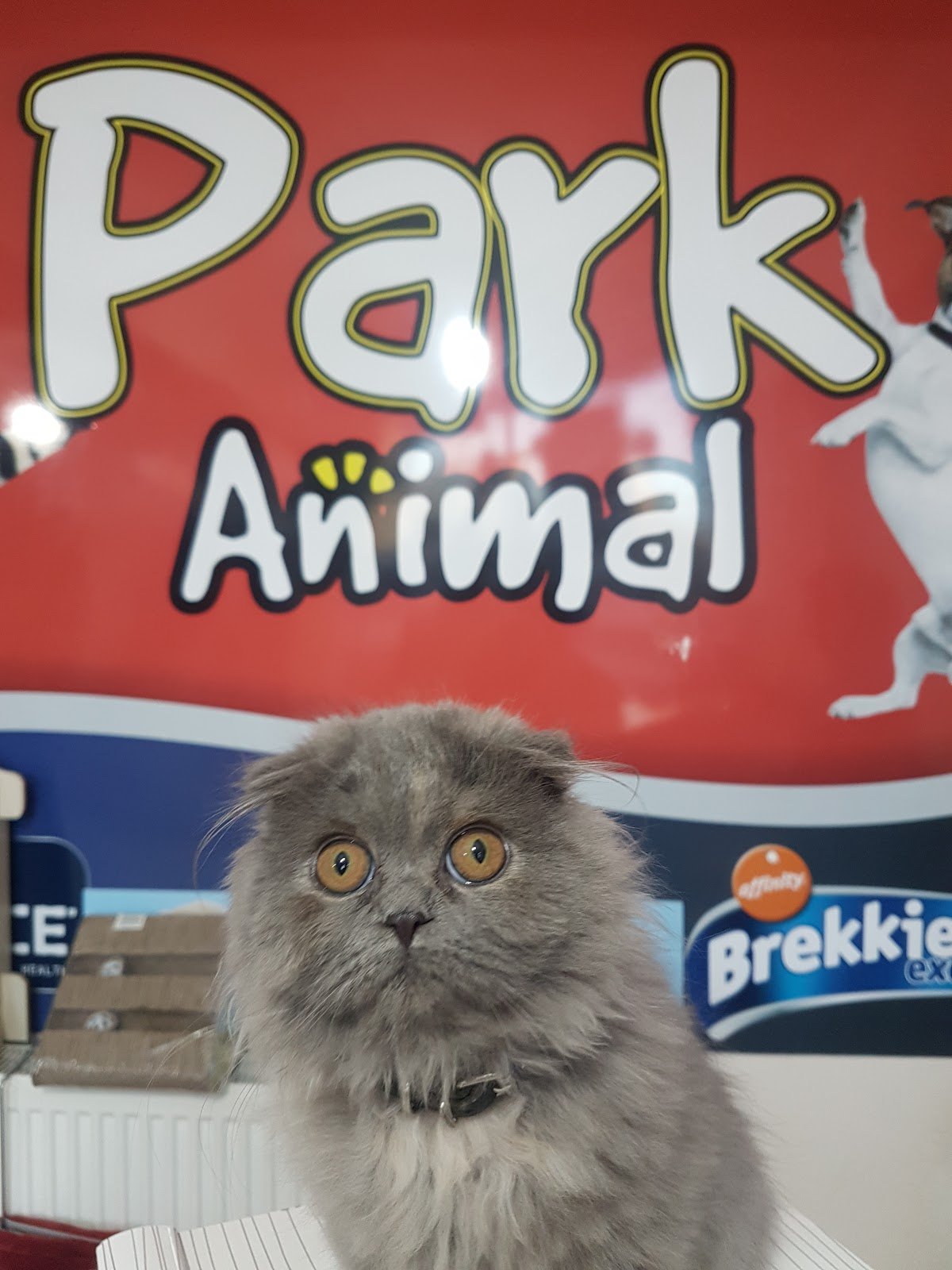 PARK ANİMAL VETERİNER KLİNİĞİ