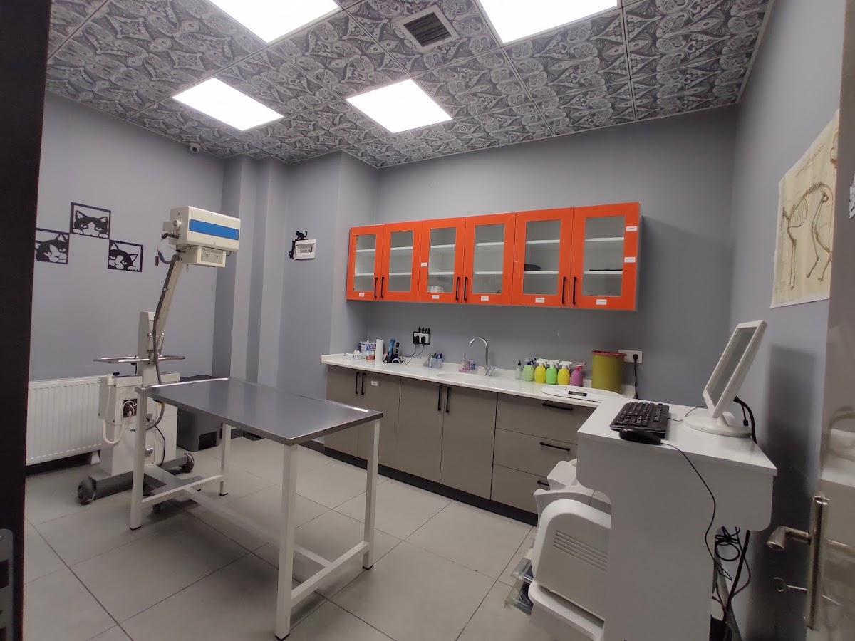 Petkey Veteriner Kliniği (Yeni Batı)