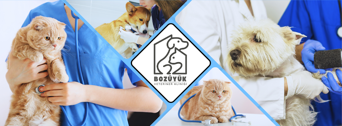 BOZÜYÜK VETERİNER KLİNİĞİ