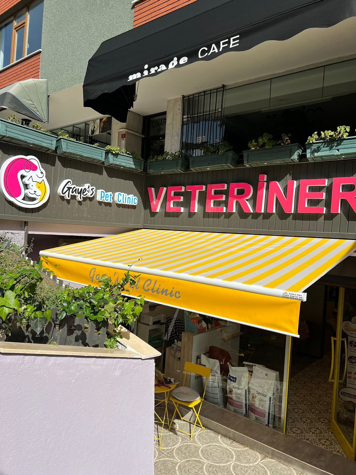 Gaye’s Pet Clinic