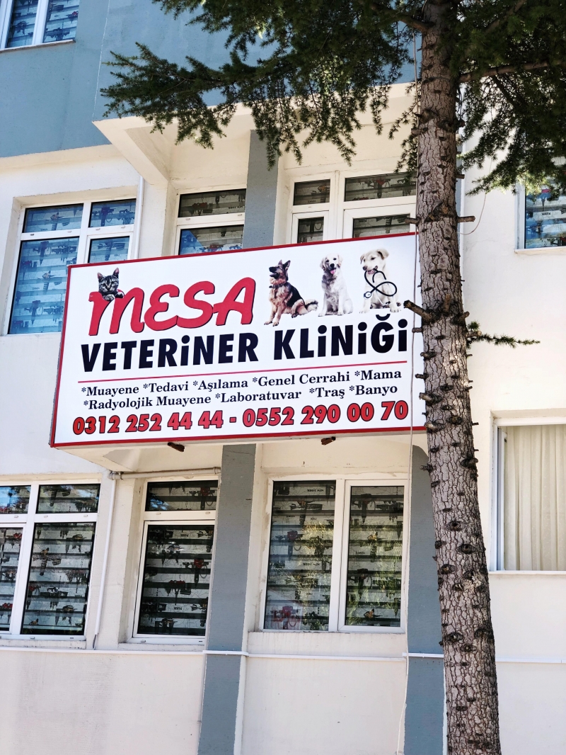 mesa veteriner kliniği
