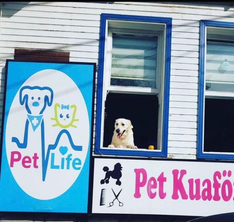 Tarabya Petlife Veteriner klniği