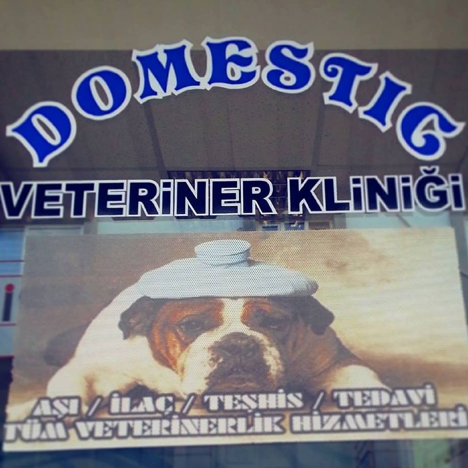 Torbalı Domestic Veteriner Kliniği - Vet. Hek. Mustafa Yavaş