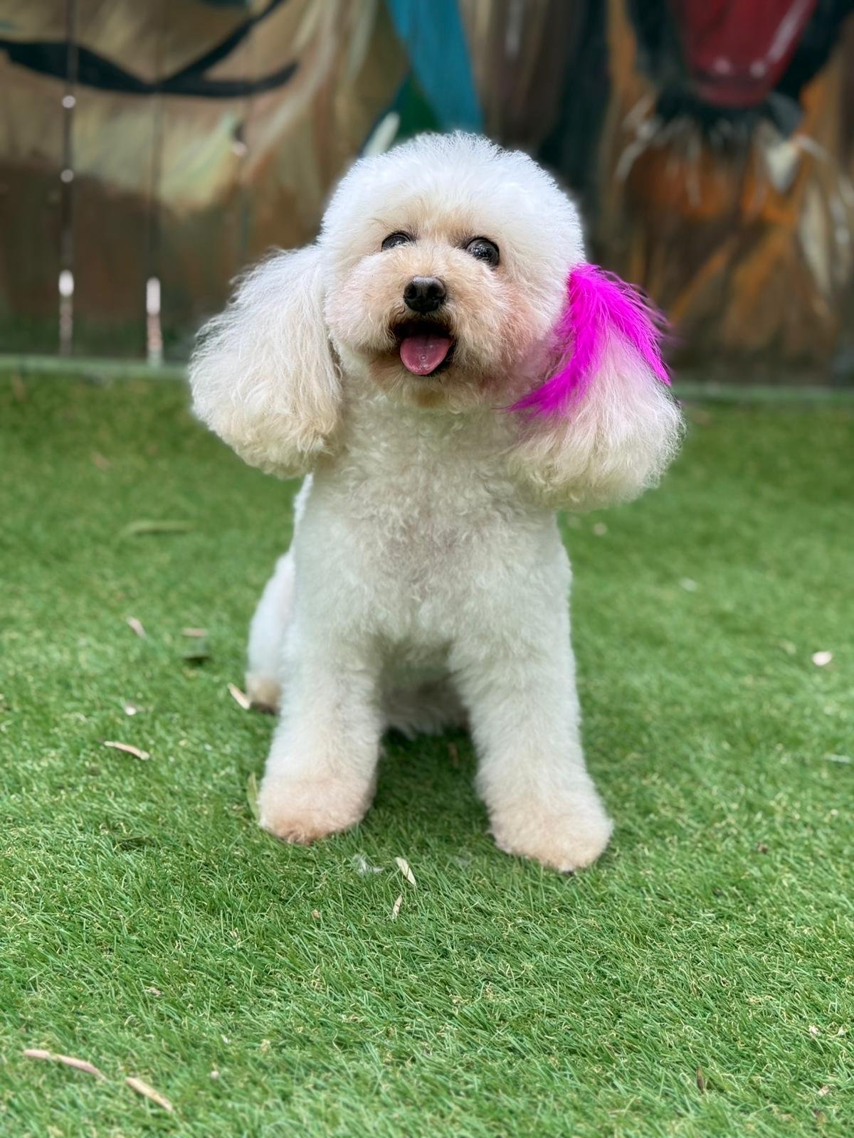 EGE KÖPEK EVİ