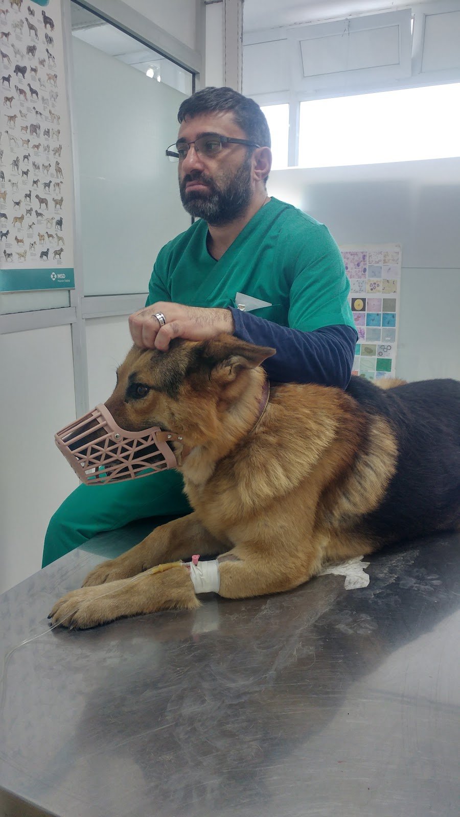Dünya Veteriner Kliniği - Pendik