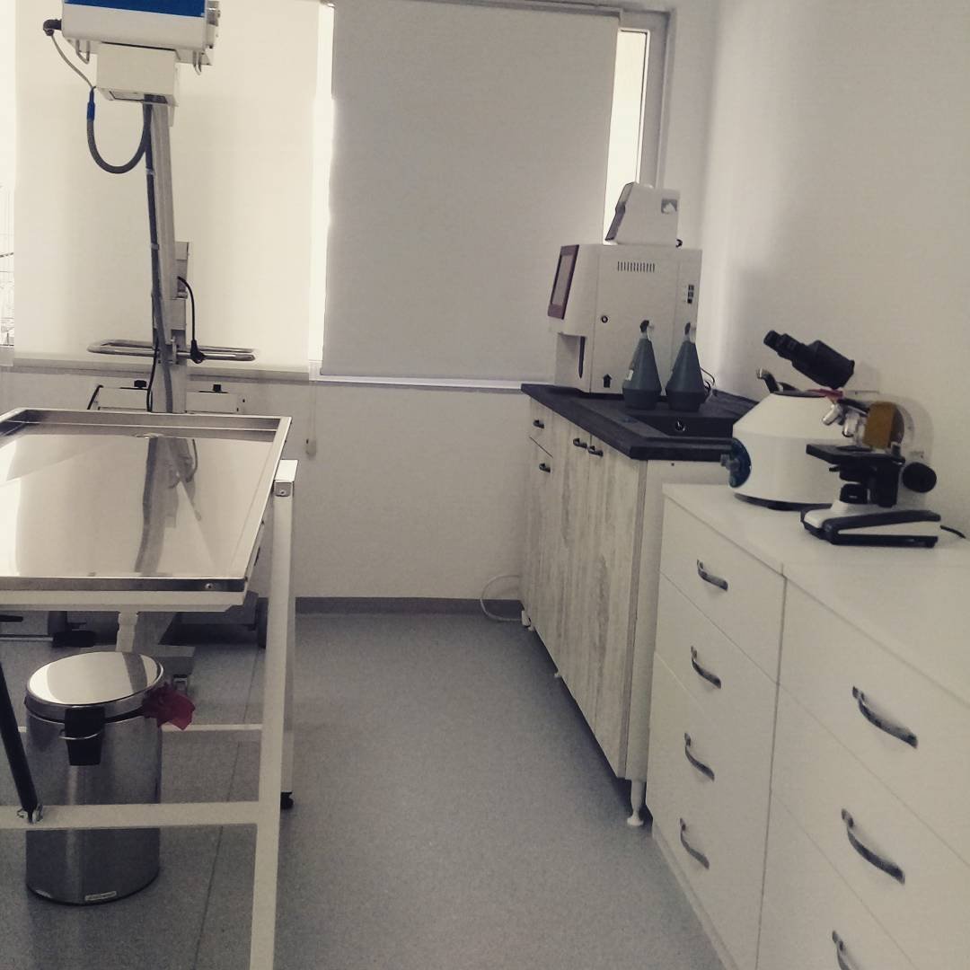 Mayada Veteriner Kliniği