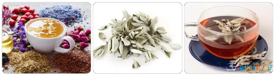 Adaçayı (Doğal Antiseptik)
