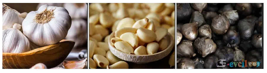 Sarımsak (Doğal Antibiyotik Gücü)