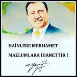 Mesut Süel